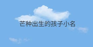 芒種出生的孩子小名