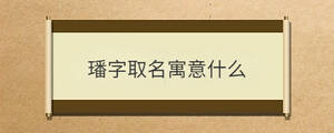 璠字取名寓意什么