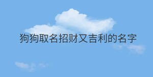 狗狗取名招財又吉利的名字