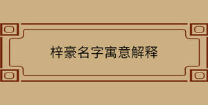 梓豪名字寓意解釋