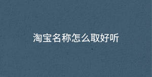 淘寶名稱怎么取好聽