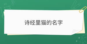 詩經里貓的名字