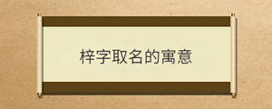 梓字取名的寓意