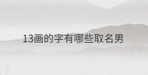 13畫的字有哪些取名男