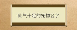 仙氣十足的寵物名字