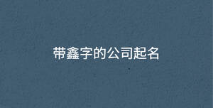 帶鑫字的公司起名