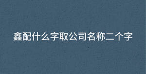 鑫配什么字取公司名稱二個字