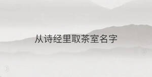 從詩經里取茶室名字