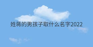 姓蔣的男孩子取什么名字2022