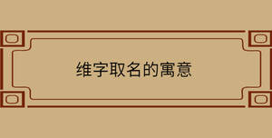 維字取名的寓意