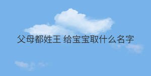 父母都姓王 給寶寶取什么名字