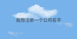 我想注冊一個公司名字