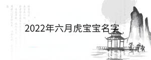 2022年六月虎寶寶名字