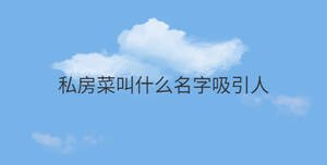 私房菜叫什么名字吸引人
