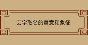 蕓字取名的寓意和象征