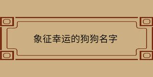 象征幸運(yùn)的狗狗名字