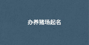 深色背景 - 2022-09-07T113714.394.jpg