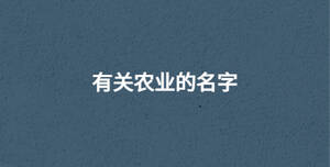 有關農業的名字