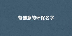 有創(chuàng)意的環(huán)保名字