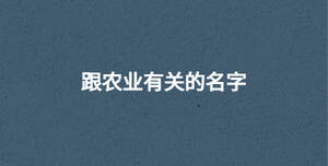 跟農(nóng)業(yè)有關(guān)的名字