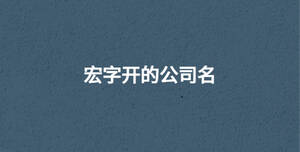 宏字開的公司名
