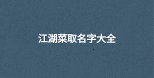 江湖菜取名字大全