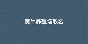 黃牛養殖場取名