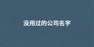 沒用過的公司名字