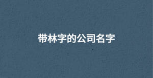 帶林字的公司名字