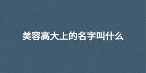 美容高大上的名字叫什么