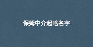 保姆中介起啥名字