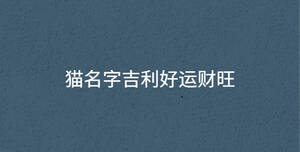 貓名字吉利好運財旺