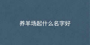養羊場起什么名字好