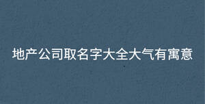 地產公司取名字大全大氣有寓意