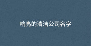 響亮的清潔公司名字