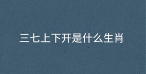 三七上下開是什么生肖