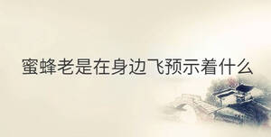 蜜蜂老是在身邊飛預(yù)示著什么