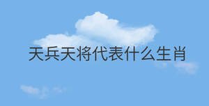 天兵天將代表什么生肖