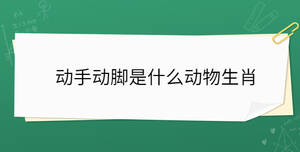 動手動腳是什么動物生肖
