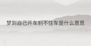 簡單 - 2022-10-12T163830.374.jpg