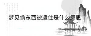 夢(mèng)見(jiàn)偷東西被逮住是什么意思
