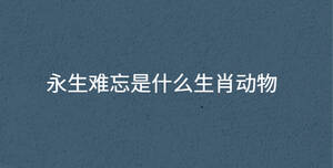 永生難忘是什么生肖動物