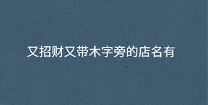 又招財又帶木字旁的店名有