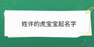 姓許的虎寶寶起名字