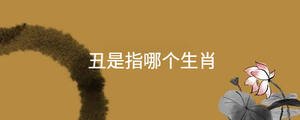 丑是指哪個生肖