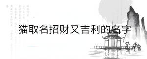 貓取名招財(cái)又吉利的名字