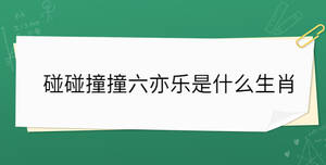 碰碰撞撞六亦樂是什么生肖