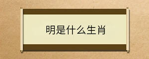 明是什么生肖