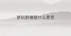 夢(mèng)到野豬是什么意思