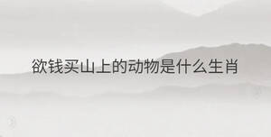 欲錢買山上的動物是什么生肖